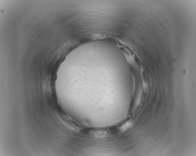 X0000070390512200606301949