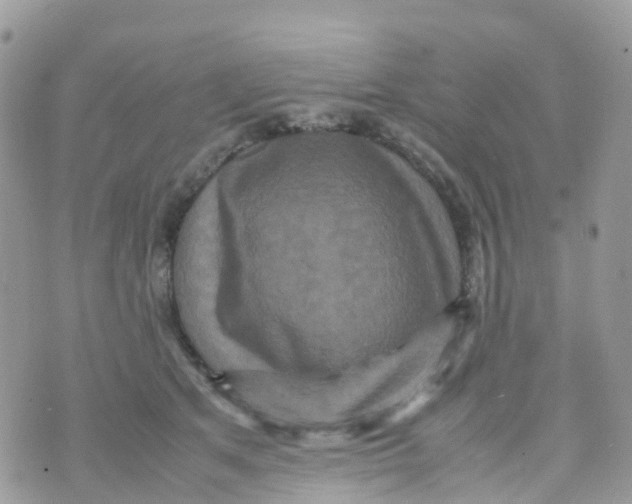 X0000070390513200606301949