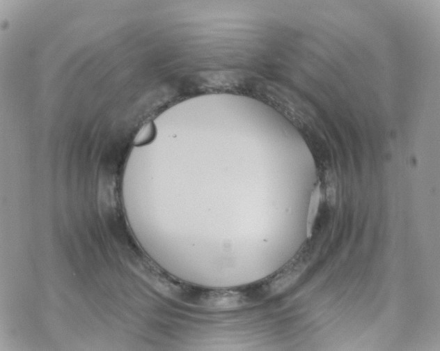 X0000070390514200606301949