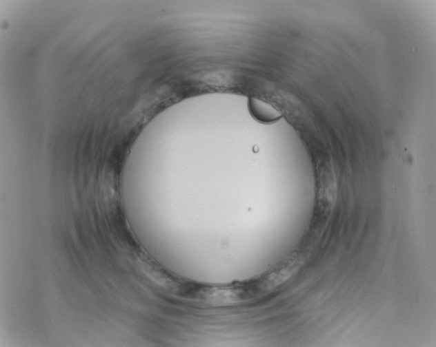 X0000070390518200606301949