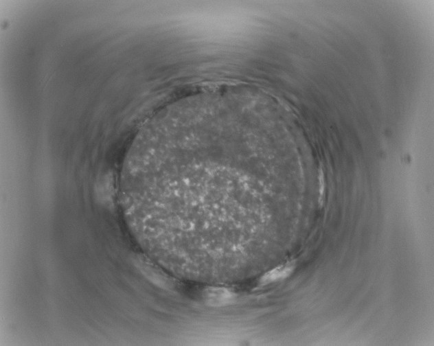 X0000070390519200606301949