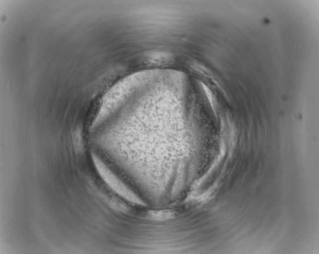 X0000070390520200606301949