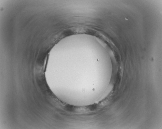 X0000070390521200606301949