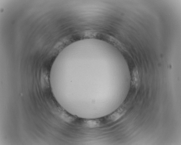 X0000070390522200606301949