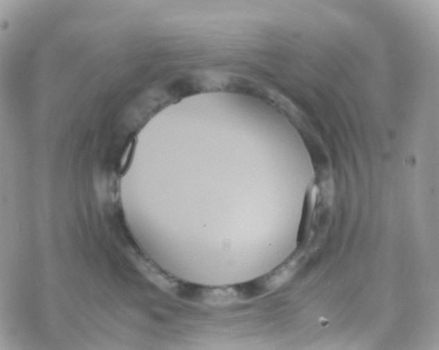 X0000070390525200606301949