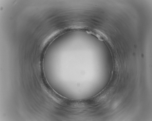 X0000070390535200606301949