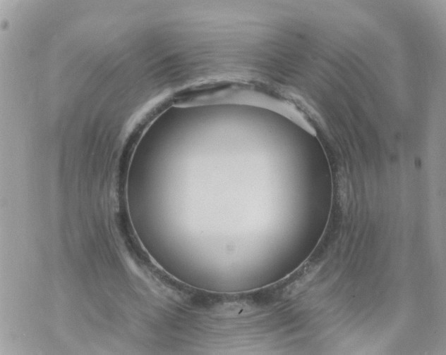 X0000070390536200606301949