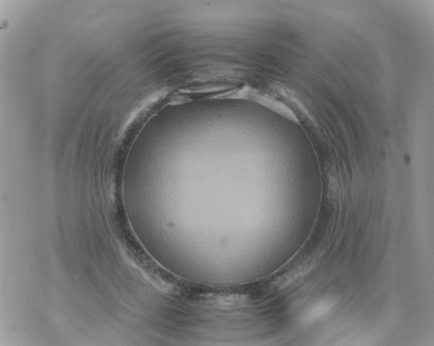 X0000070390539200606301949