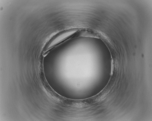 X0000070390540200606301949