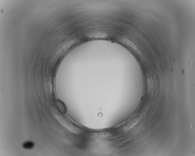 X0000070390541200606301949