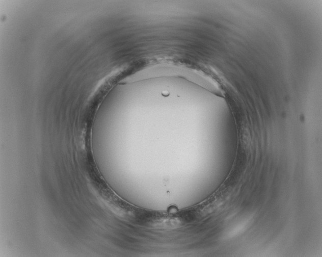 X0000070390543200606301949