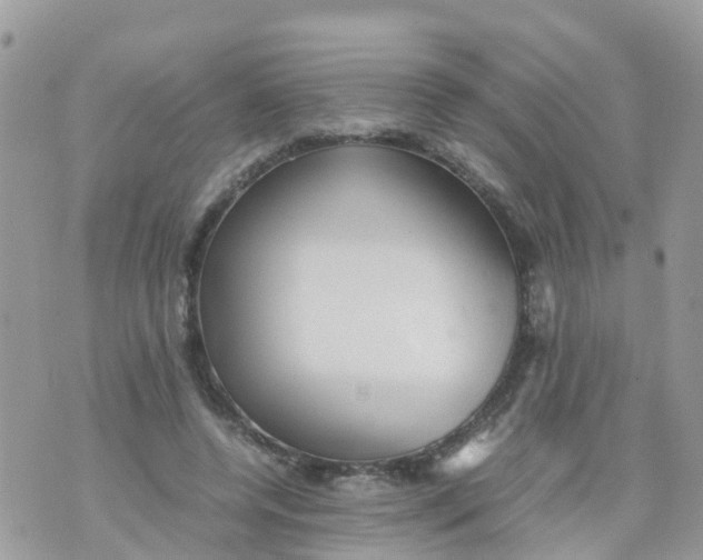 X0000070390544200606301949