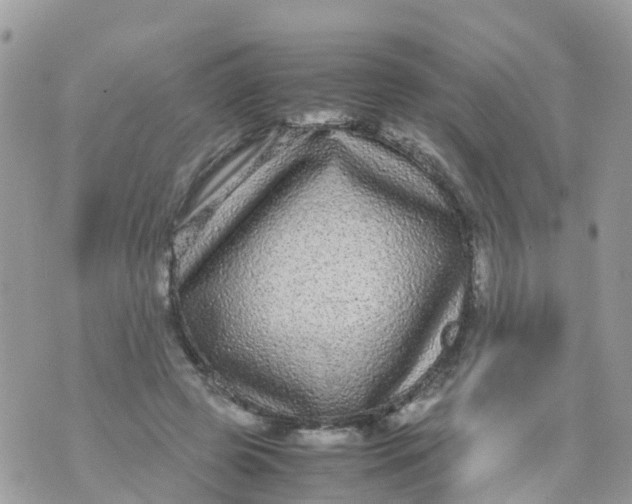 X0000070390545200606301949