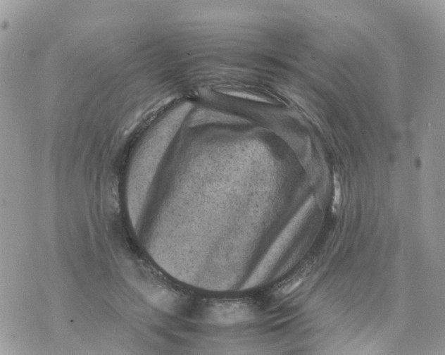 X0000070390547200606301949