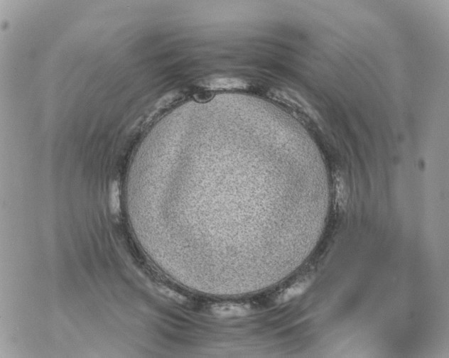 X0000070390549200606301949