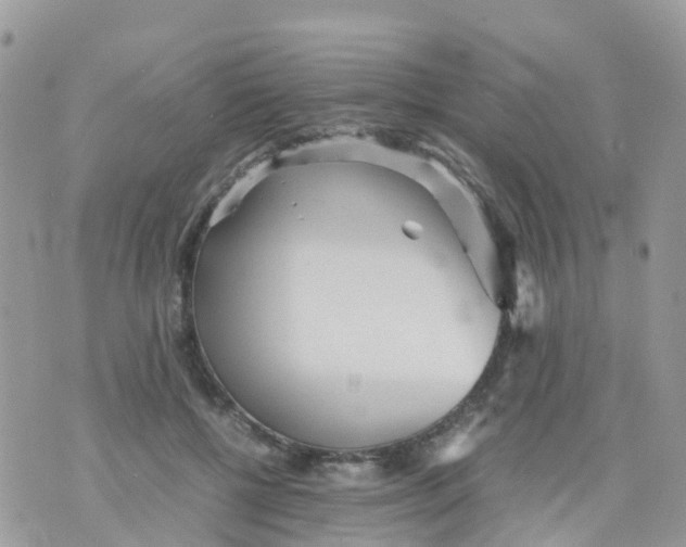 X0000070390552200606301949