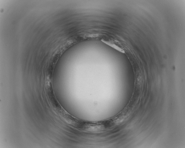 X0000070390555200606301949