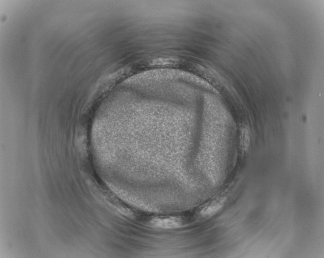 X0000070390557200606301949