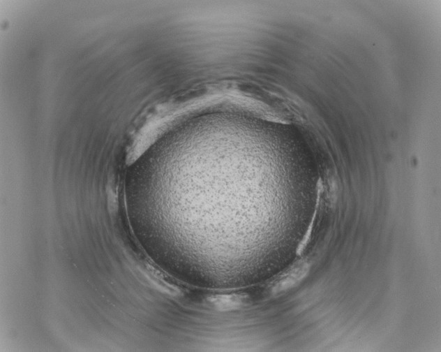 X0000070390558200606301949