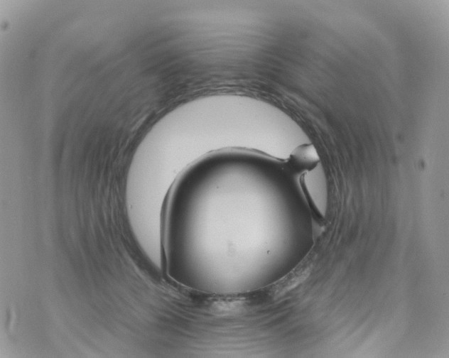 X0000070390560200606301949