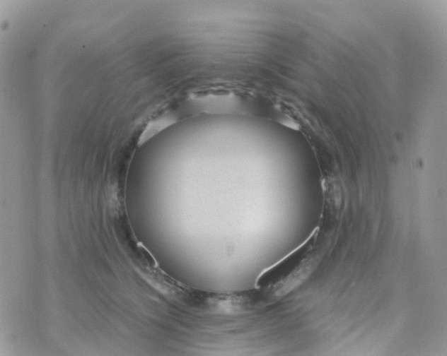 X0000070390564200606301949