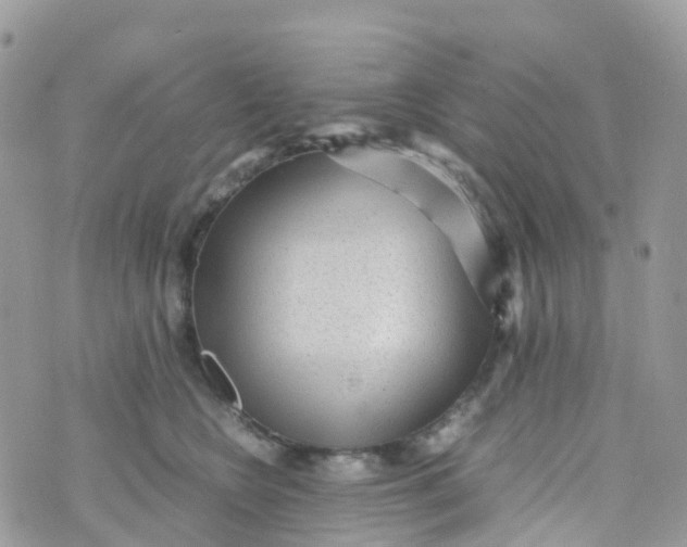 X0000070390566200606301949