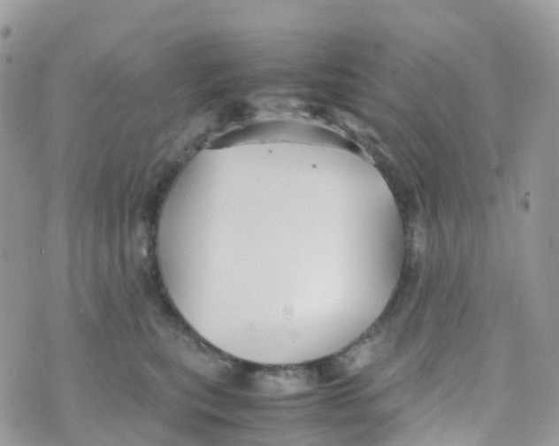 X0000070390567200606301949