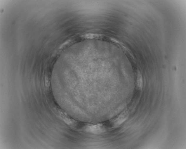 X0000070390569200606301949