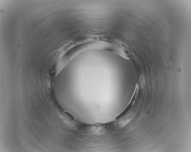 X0000070390570200606301949