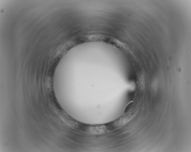 X0000070390571200606301949