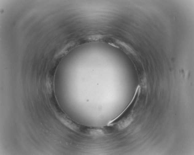 X0000070390572200606301949