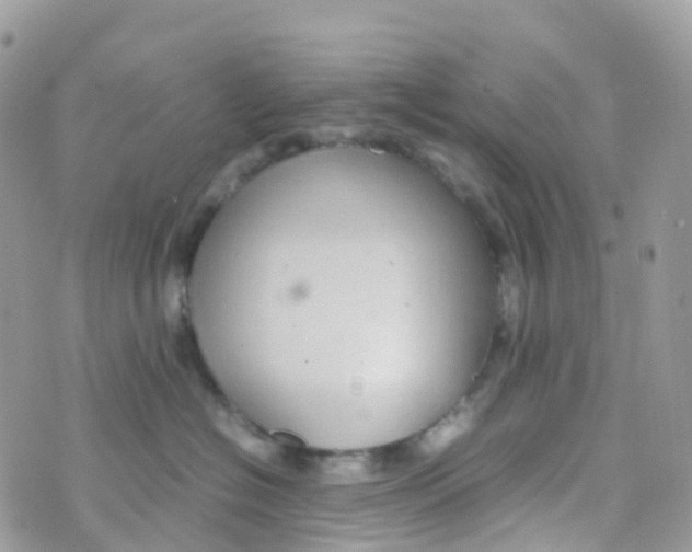 X0000070390574200606301949