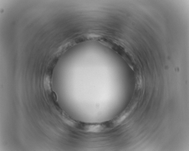 X0000070390575200606301949