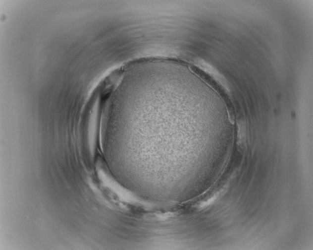 X0000070390580200606301948