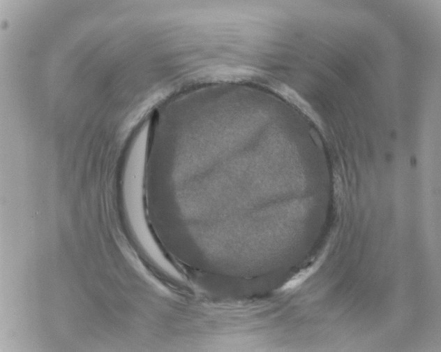 X0000070390581200606301948