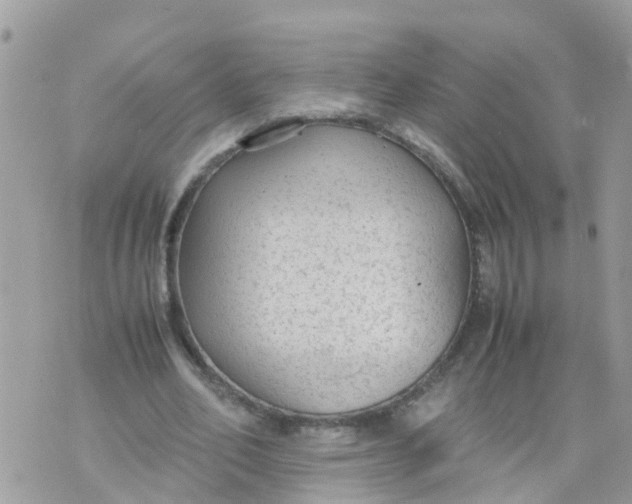 X0000070390582200606301948