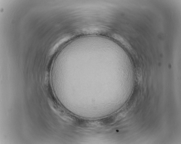 X0000070390583200606301948