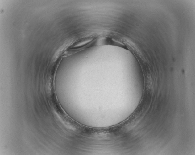 X0000070390586200606301948