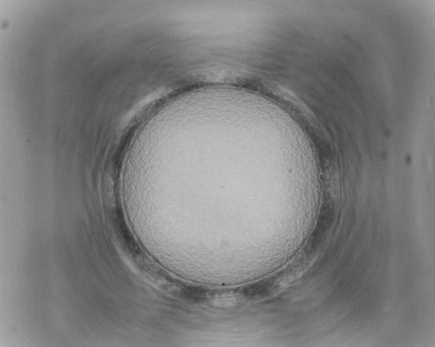 X0000070390587200606301948