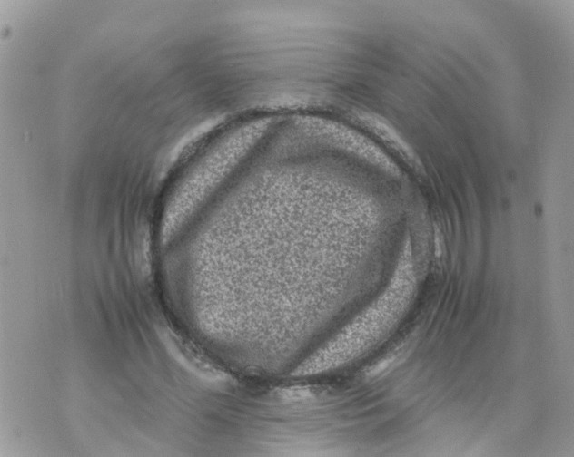 X0000070390588200606301948