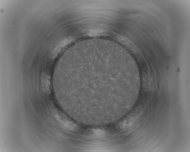 X0000070390592200606301948