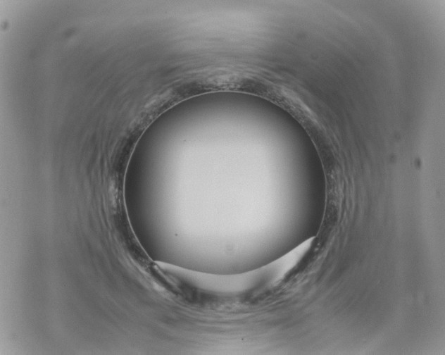 X0000070390597200606301948