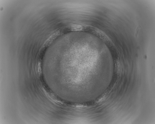 X0000070390598200606301948