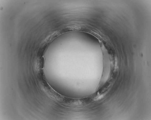 X0000070390600200606301948