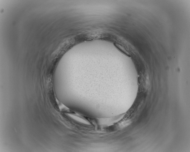 X0000070390601200606301948