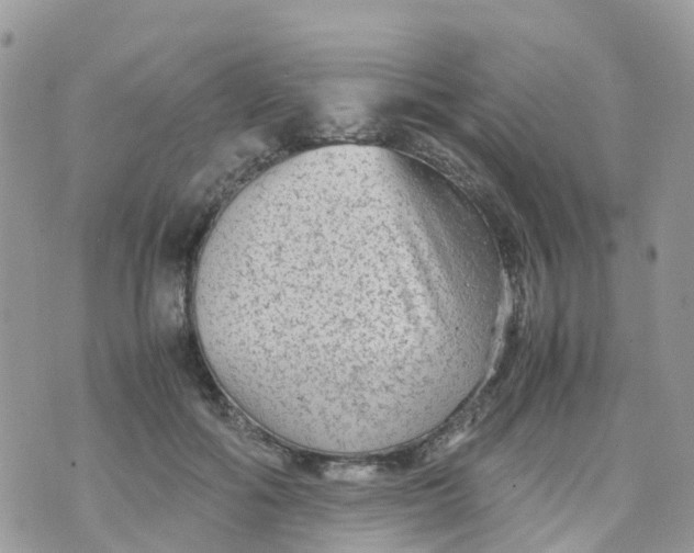 X0000070390602200606301948