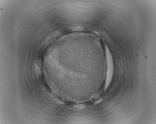 X0000070390604200606301948