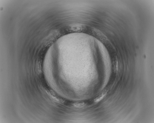 X0000070390606200606301948