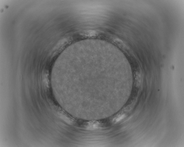 X0000070390612200606301948