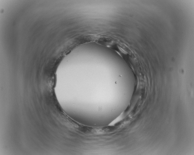 X0000070390613200606301948